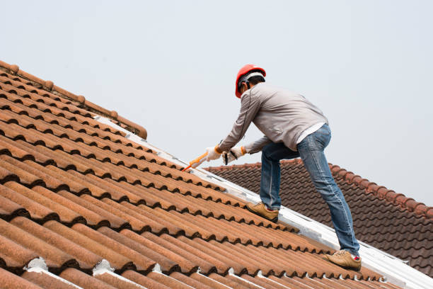 Best Roof Ventilation Installation  in Polk City, IA
